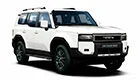 Установка подсветки салона Land Cruiser Prado 250 в Алматы
