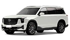 Установка подсветки салона GS8 в Алматы